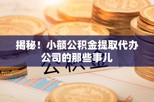 贵港揭秘！小额公积金提取代办公司的那些事儿