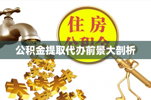 贵港公积金提取代办前景大剖析