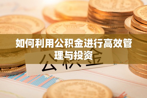 贵港如何利用公积金进行高效管理与投资